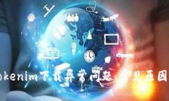如何解决Tokenim下载异常问